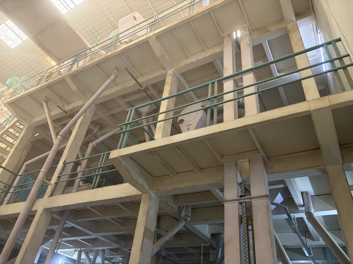 研磨・選別機械